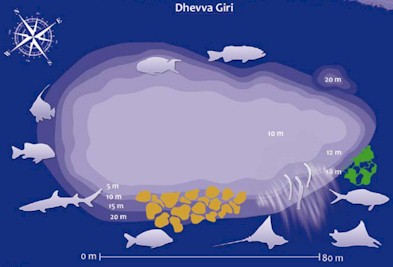 Dheeva Giri